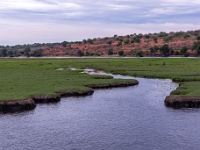 Rezerwat w Chobe (Botswana)